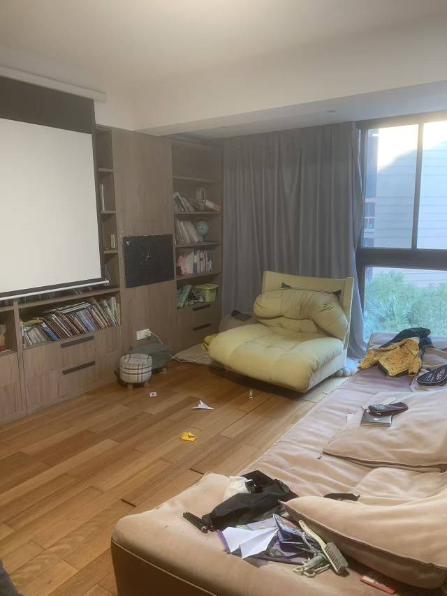 新景国际外滩3室2厅3卫