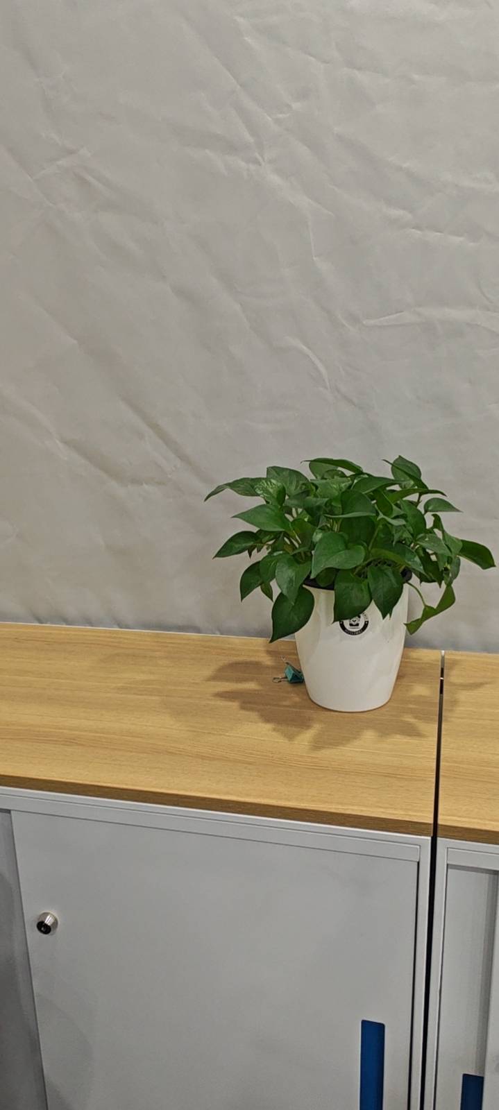 保利天汇3室1厅2卫