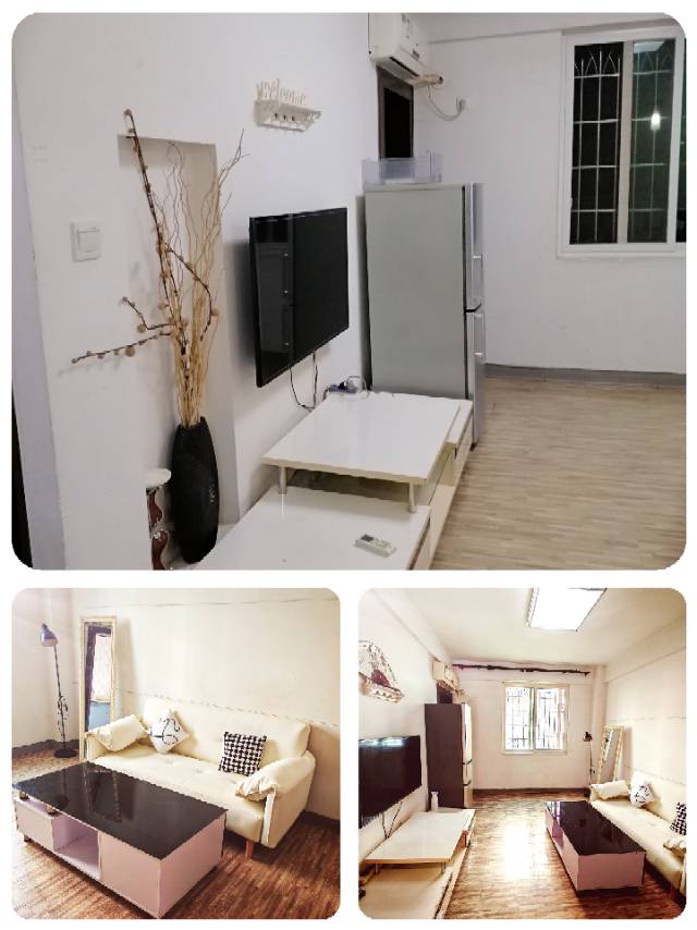 整租|东坪山庄1 室|2厅1卫