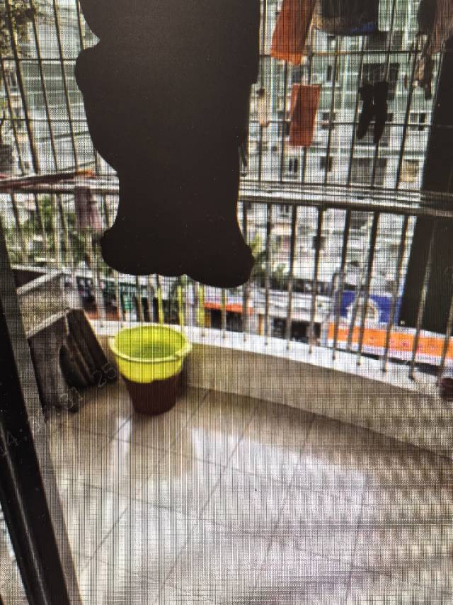 岭兜小区(南区)3室1厅1卫