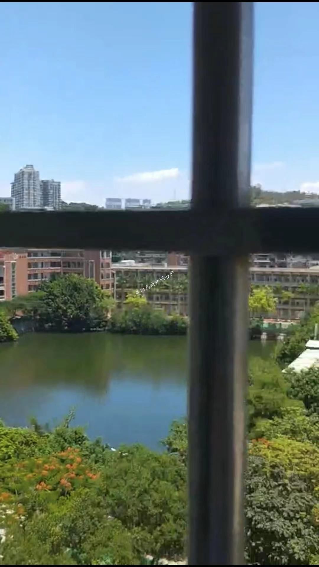 看湖
