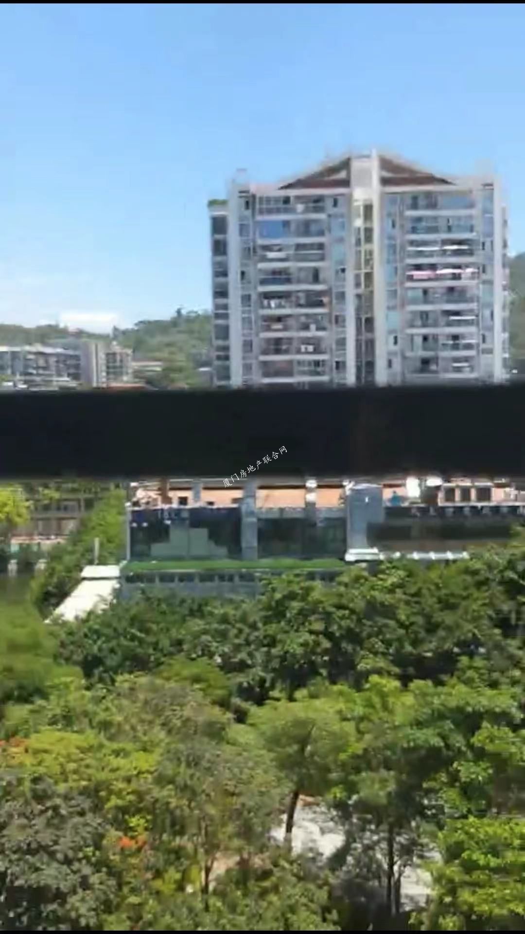 看山