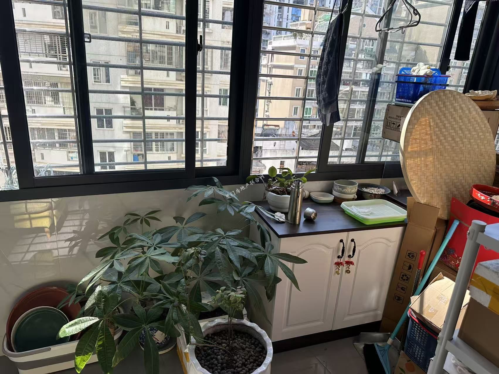 mmexport1768815492100